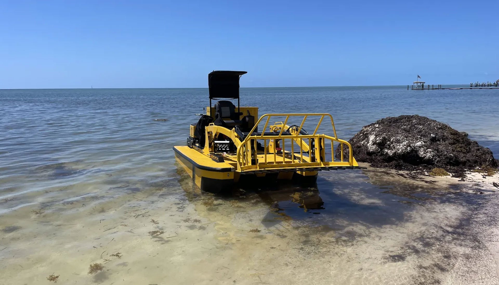 Shoreline Seaweed Removal and Water Cleanup Services in South Florida